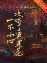 一不小心攻略了黑莲花小说