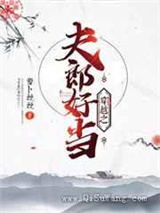 穿越之夫郎好当小说