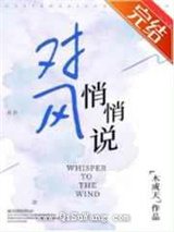 对风悄悄说小说