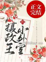 摄政王的小外室小说