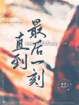 直到最后一刻小说