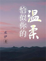 恰似你的温柔小说
