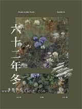 六十二年冬小说