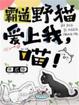 霸道野猫爱上我,喵!小说