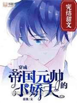 穿成帝国元帅的小娇夫小说