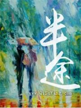 半途小说