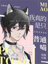 我真的是只普通喵小说