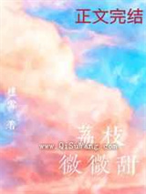 荔枝微微甜小说