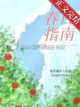 春日指南小说