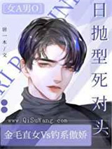 日抛型死对头小说
