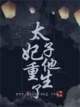 太子妃他重生了小说