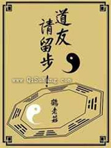 道友，请留步小说