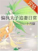 偏执太子追妻日常小说