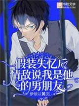 假装失忆后情敌说我是他的男朋友小说