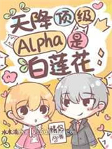 失忆后，天降顶级Alpha老公小说