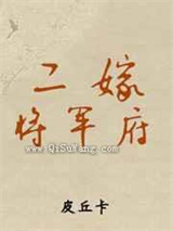 二嫁将军府小说