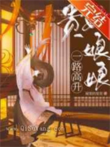 贵妃娘娘一路高升小说