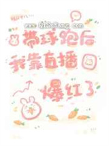 带球跑后我靠直播爆红了小说