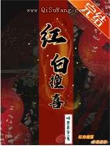 红白撞喜小说