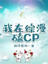 我在综漫磕CP小说