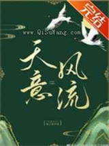 天意风流小说