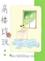 高楼玫瑰小说