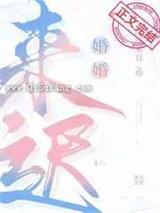 婚婚来迟小说