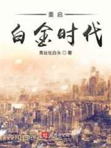 重启白金时代小说