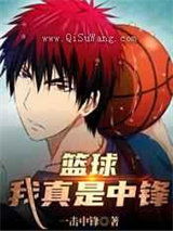 篮球：我真是中锋小说