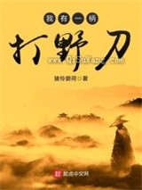 我有一柄打野刀小说