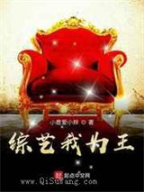 综艺我为王小说
