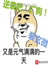 逆袭吧厂狗小说