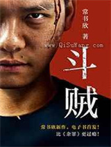 斗贼小说
