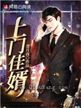 上门佳婿小说