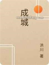 成城小说