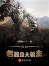 我的老婆是大领主小说