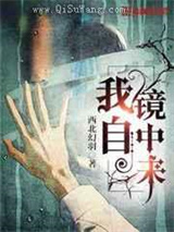 我自镜中来小说