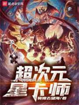 超次元星卡师小说