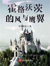霍格沃茨的风与鹰翼小说