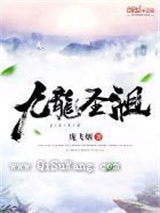 九龙圣祖小说