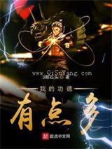 我的功德有点多小说