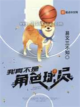 我真不是角色球员小说