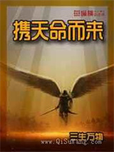 携天命而来小说