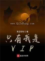 只有我是VIP小说