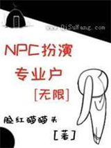 NPC扮演专业户小说