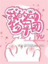 我的动物军团小说