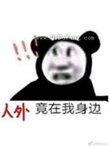 整个动物园都暗恋我小说