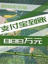 支付宝到账888万元小说