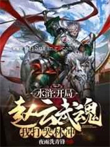 水浒：开局赵云武魂，我打哭林冲小说