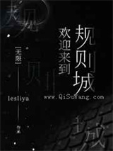 欢迎来到规则城小说